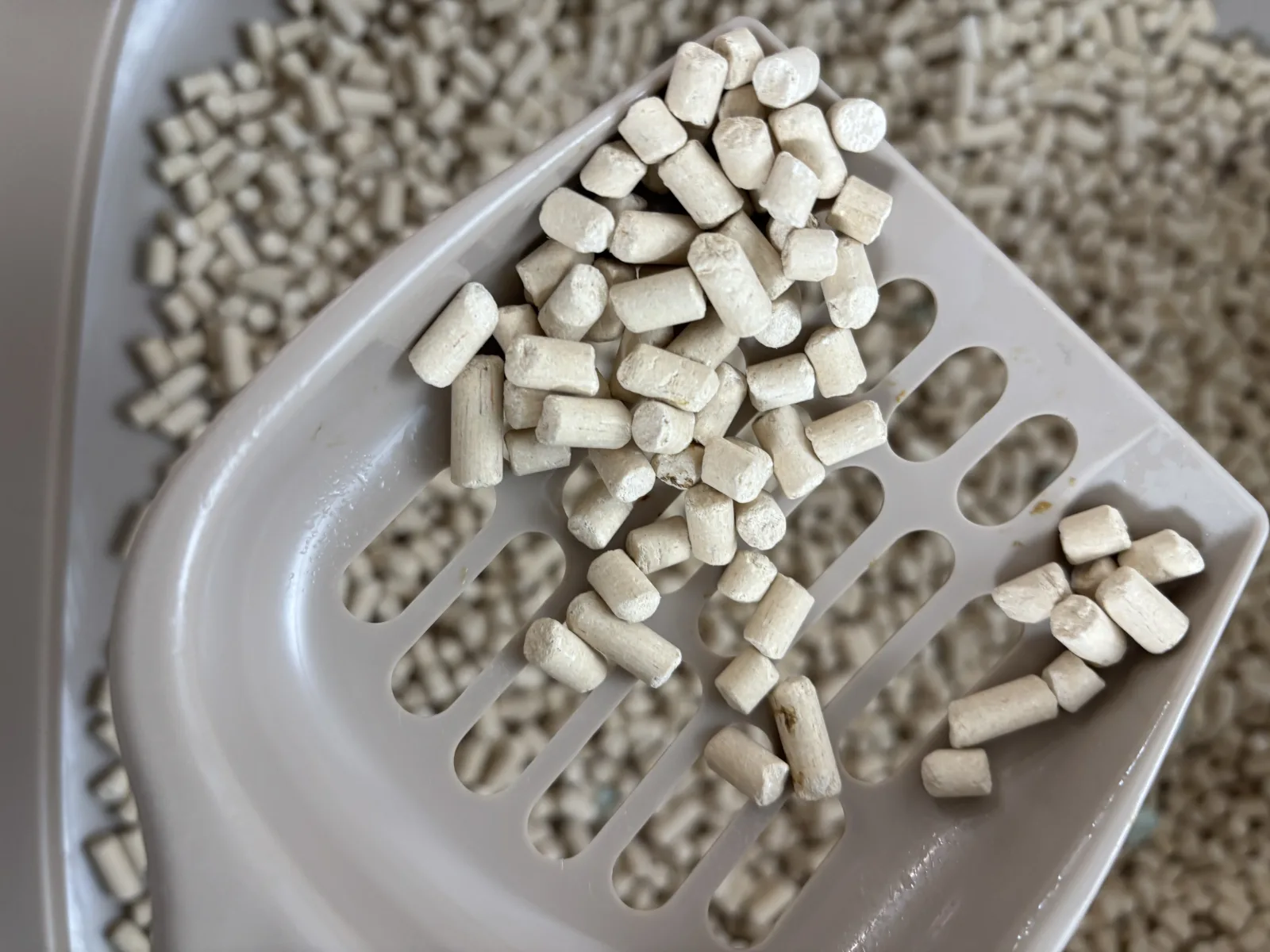 スコップに載せたゼオライト製の鉱物サンド